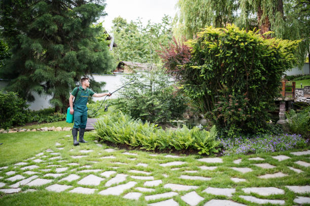Professional Pest Control in Texarkana, TX