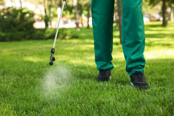 Best Rat Extermination Near Me  in Texarkana, TX
