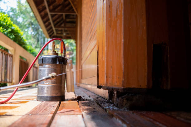 Best Wasp Removal Services  in Texarkana, TX