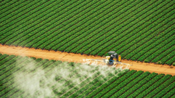 Professional Pest Control in Texarkana, TX