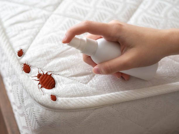 Best Mosquito Control Services  in Texarkana, TX