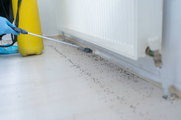 Best Best Pest Control Companies  in Texarkana, TX