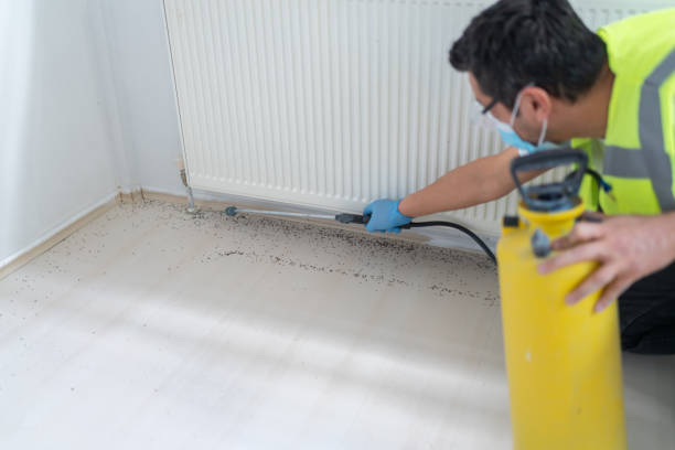 Best Termite Control Services  in Texarkana, TX