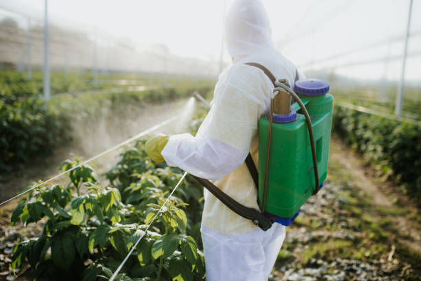Best Wasp Removal Services  in Texarkana, TX
